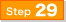 step29